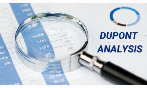 Biểu đồ phân tích Dupont giúp nhà đầu tư hiểu rõ các thành phần của chỉ số ROE năm 2025