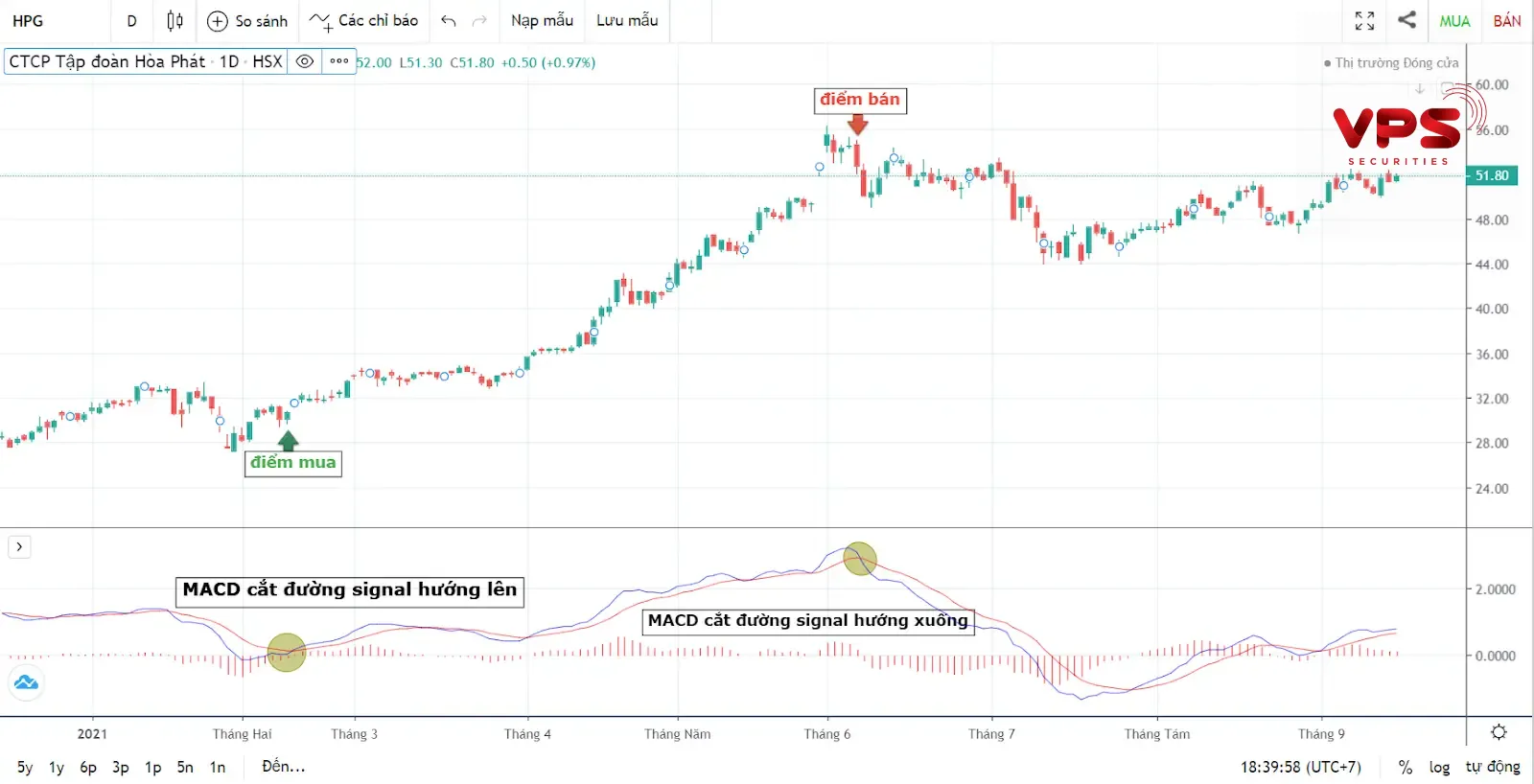 Diễn giải tín hiệu và ứng dụng chuyên sâu Diễn giải tín hiệu và ứng dụng chuyên sâu
