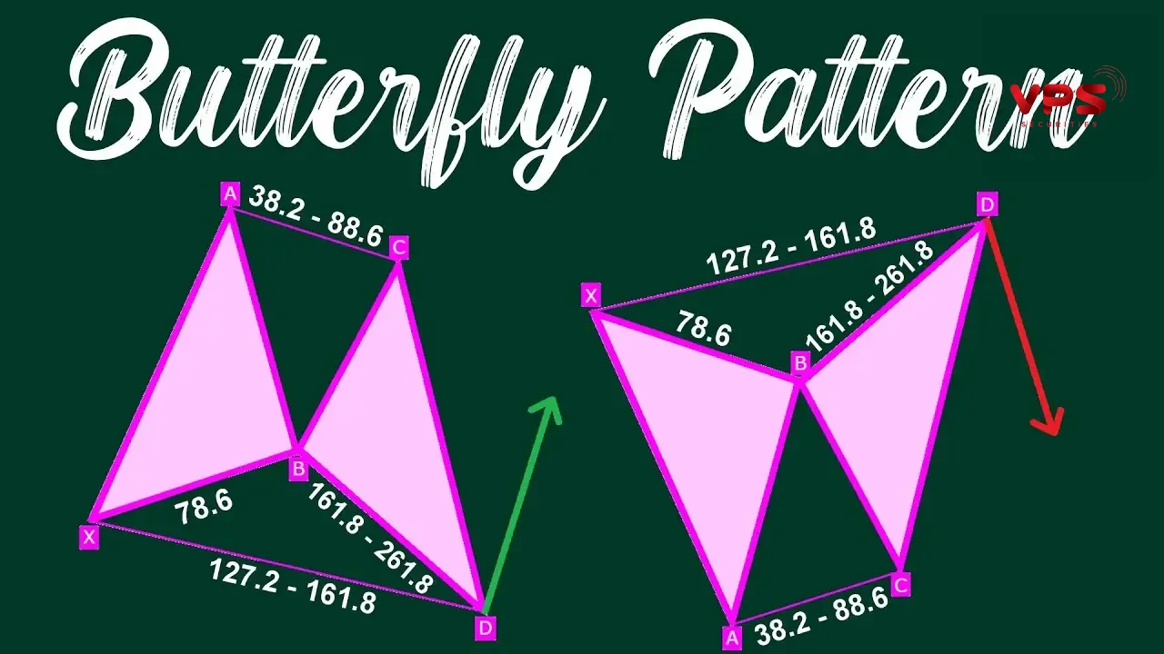 harmonic butterfly pattern harmonic butterfly pattern
