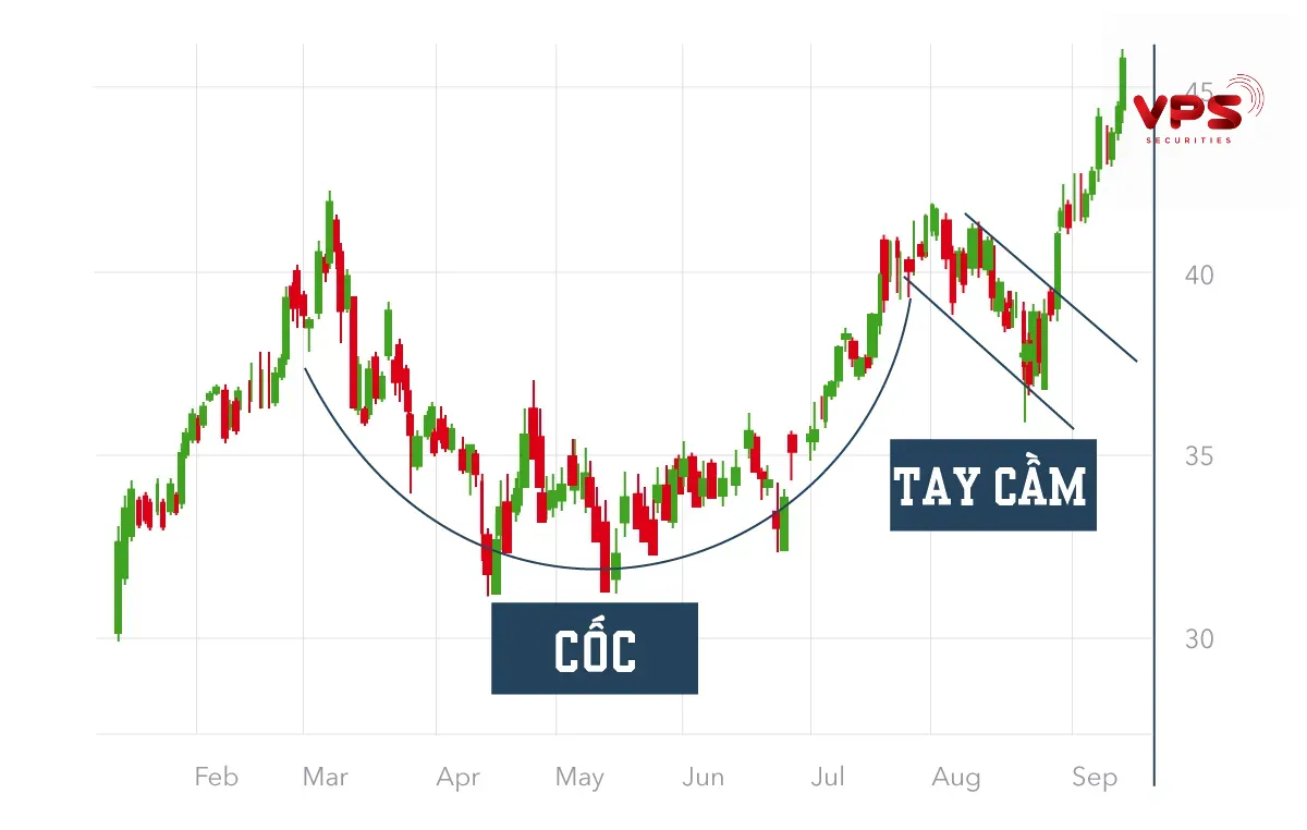 Mô hình cup and handle Mô hình cup and handle