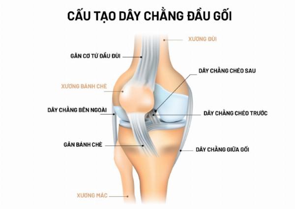 Một bộ não với các khớp nối bằng bánh răng và biểu tượng tiền tệ, tượng trưng cho sự kết nối giữa tâm lý và tài chính trong đầu tư